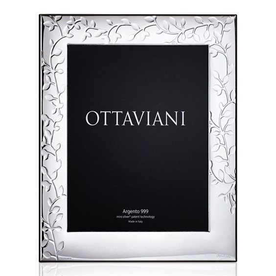 Cadre Ottaviani in Argent 3007 - 3007